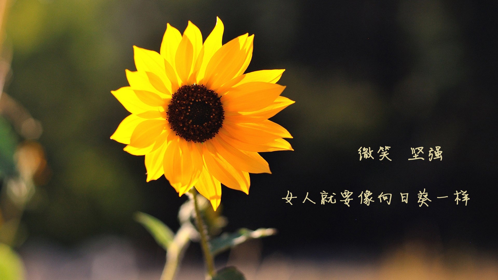 赛季中后段高频失误是否与战术混乱相关