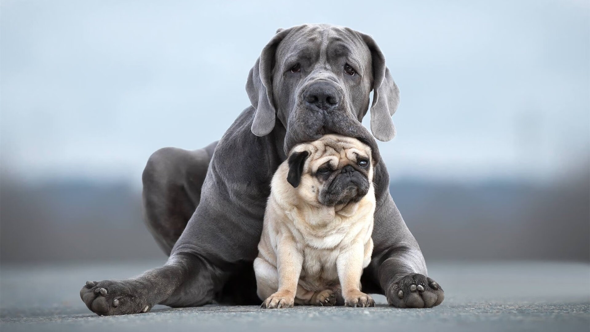 中超赛季半程总结多支中游球队表现令人惊喜，中超联赛半程冠军