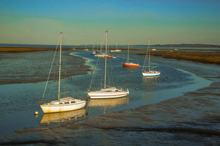 兴隆湖上演“国际艇战”，多国精英争锋